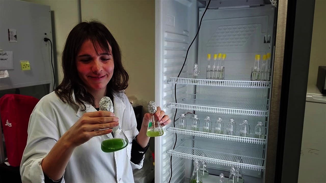 Microalgas autóctonas un recurso natural rionegrino para el tratamiento de efluentes