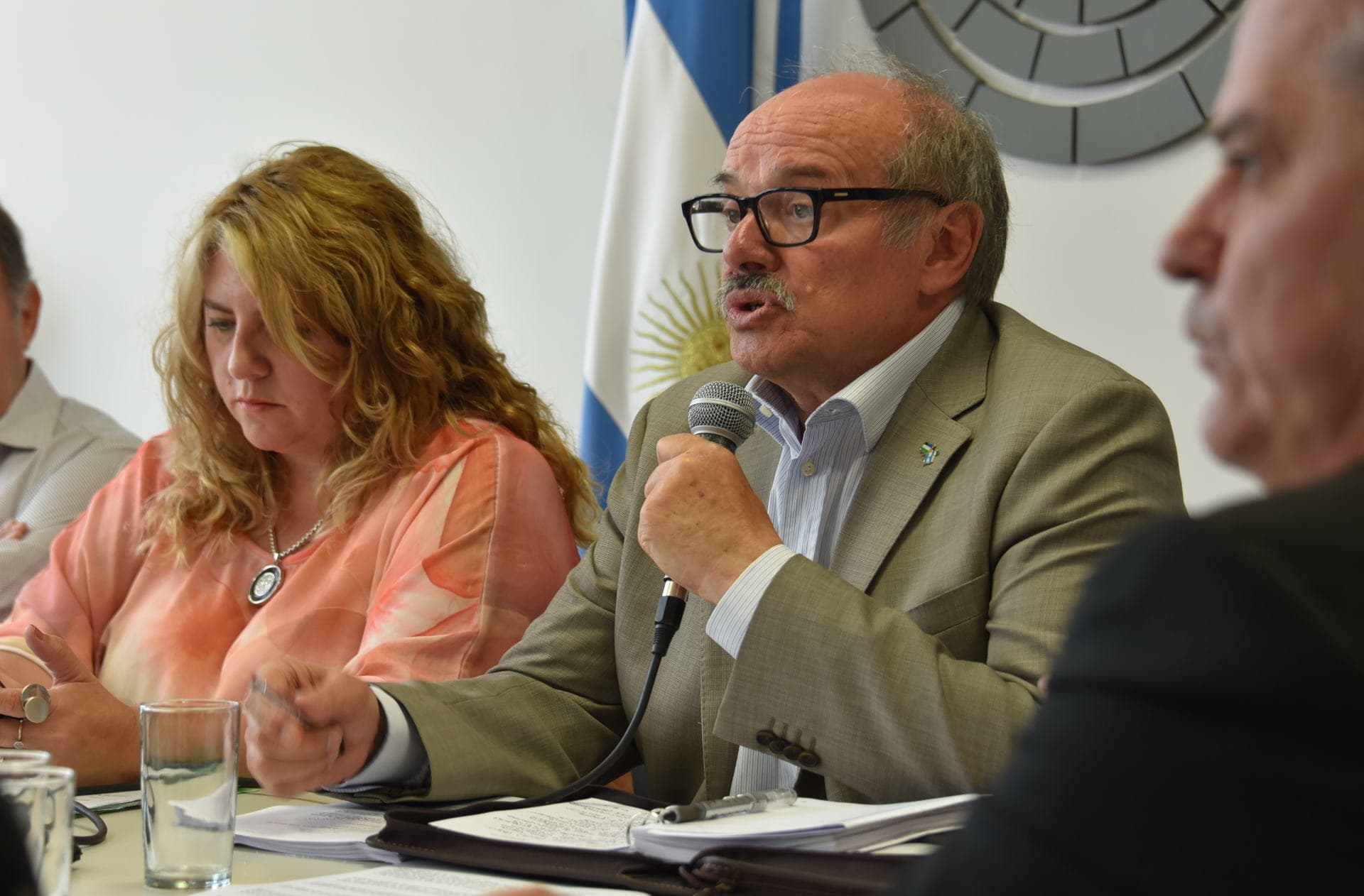Legisladoes debatieron en comisiones la derogación de las PASO