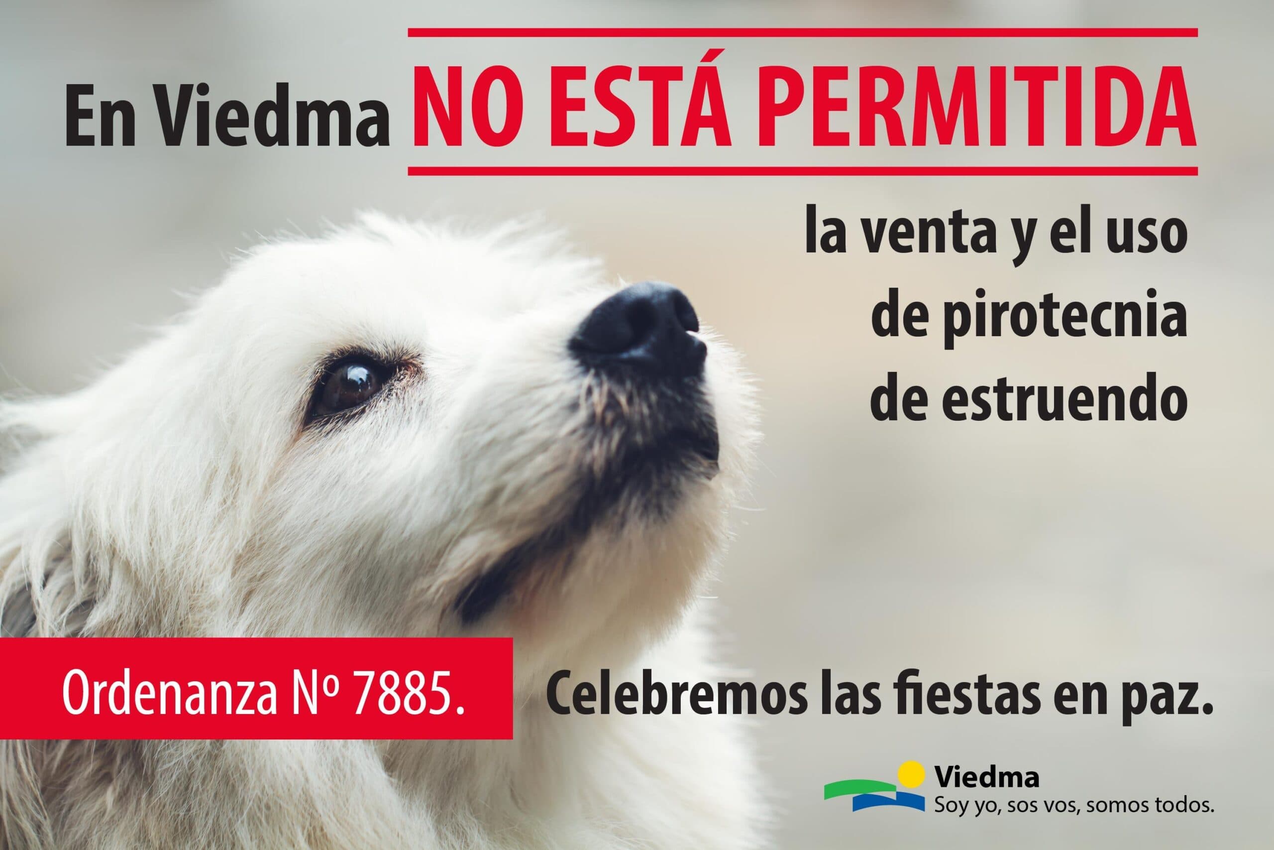 Desde la Asociación de Perros Abandonados/Maltratados De Viedma, piden al municipio que haga respetar la ordenanza contra la pirotecnia