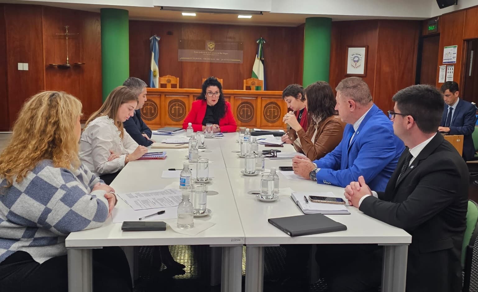 El Colegio de Abogados de Viedma eligió a sus nuevos representantes en el Consejo de la Magistratura