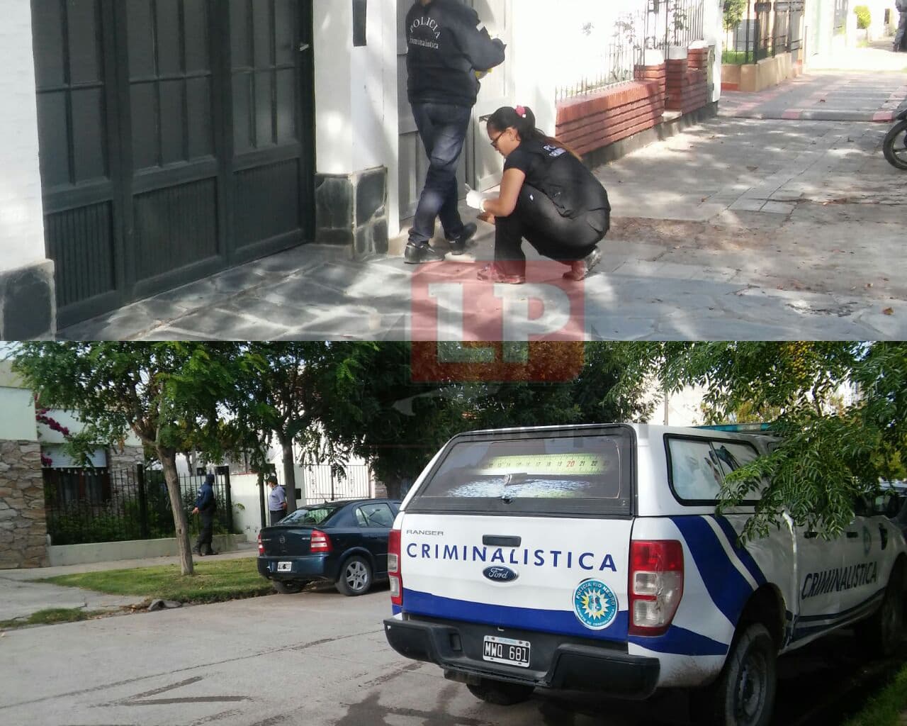Fueron más de 40 plantas de marihuana las secuestradas en calle Urquiza de Viedma