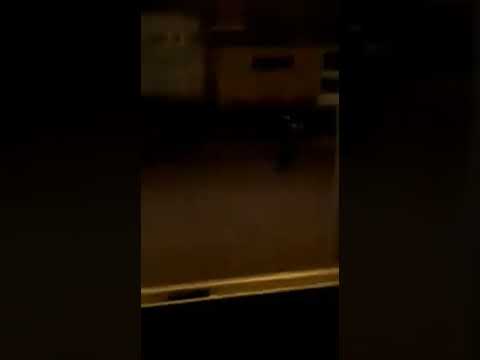 Una joven apuñalada y disturbios en el Loteo Silva