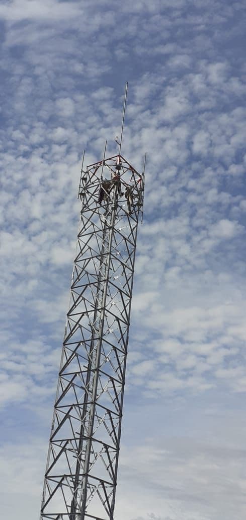 Un fallo en primera instancia prohíbe la instalación de una antena de telefonía celular en Viedma
