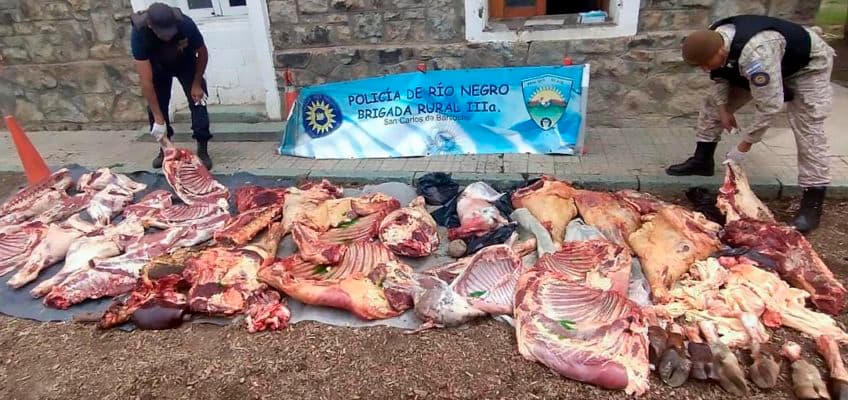Más de 11.000 kilos de carne secuestró la policía durante el año, provenientes de la faena clandestina