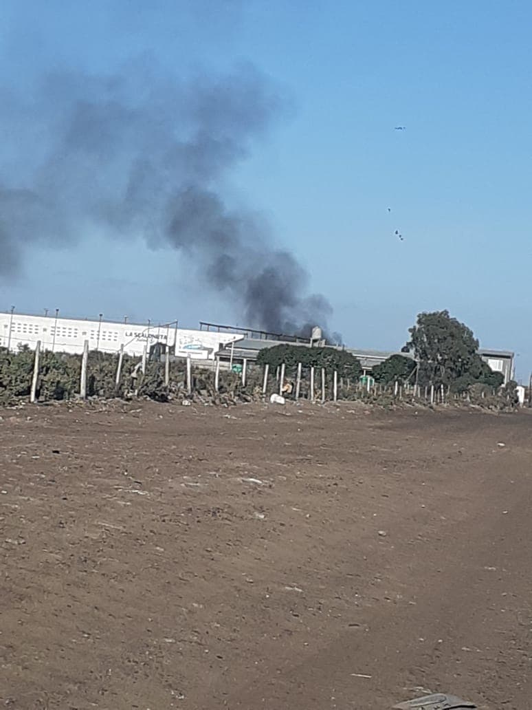 La municipalidad de Viedma multó a una chatarrería por quema de residuos