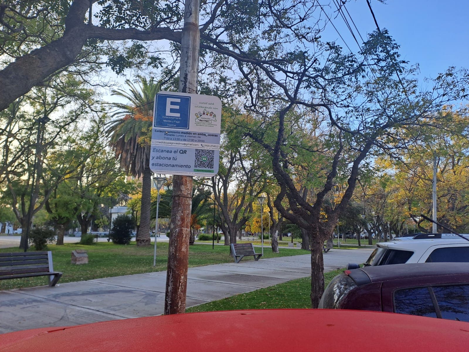 Nuevamente se cobra el estacionamiento con la Fundación Anyarc y la Universidad de La Plata