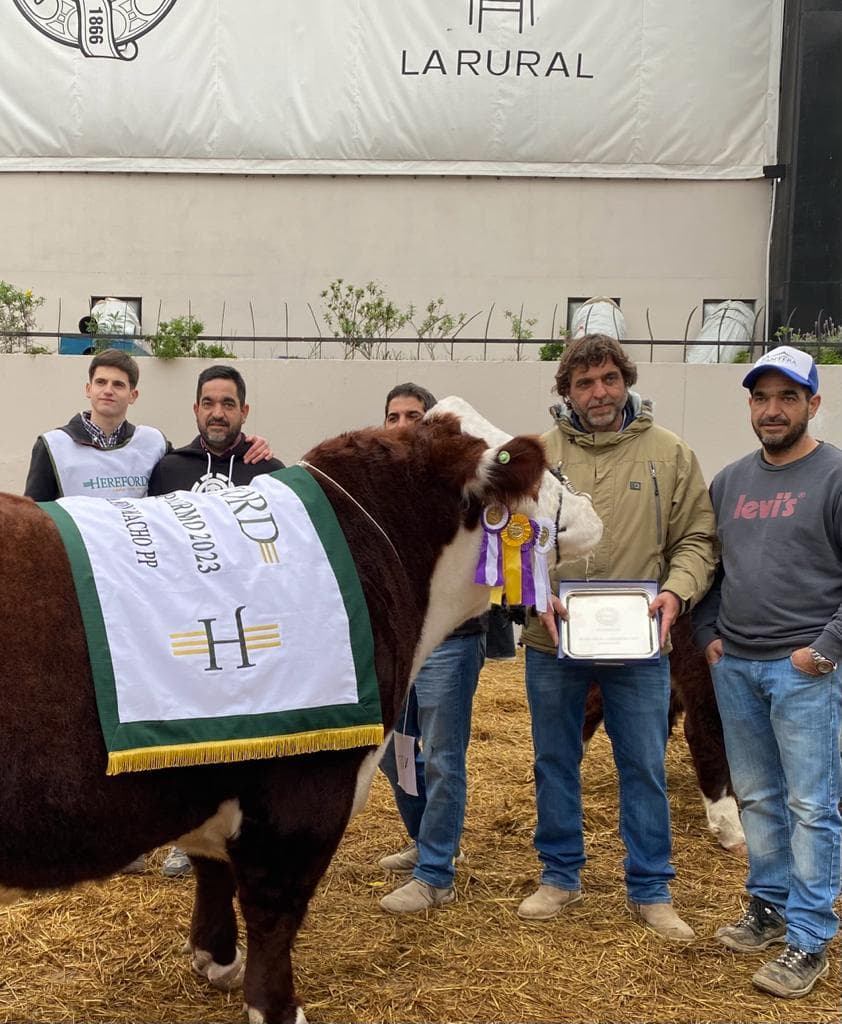 El Reservado Gran Campeón Macho Hereford de Palermo 2023 fue para la cabaña La Cantera de Juan Manuel Sosa