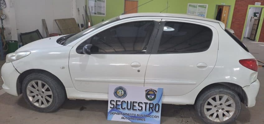 Fue hacer la verificación del auto al puesto policial de Viedma y resultó ser mellizo