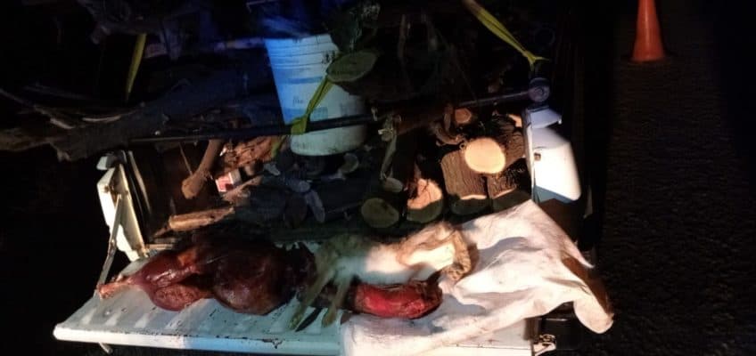 En al zona de Viedma la Policía decomisó un arma de fuego y animales producto de la caza ilegal