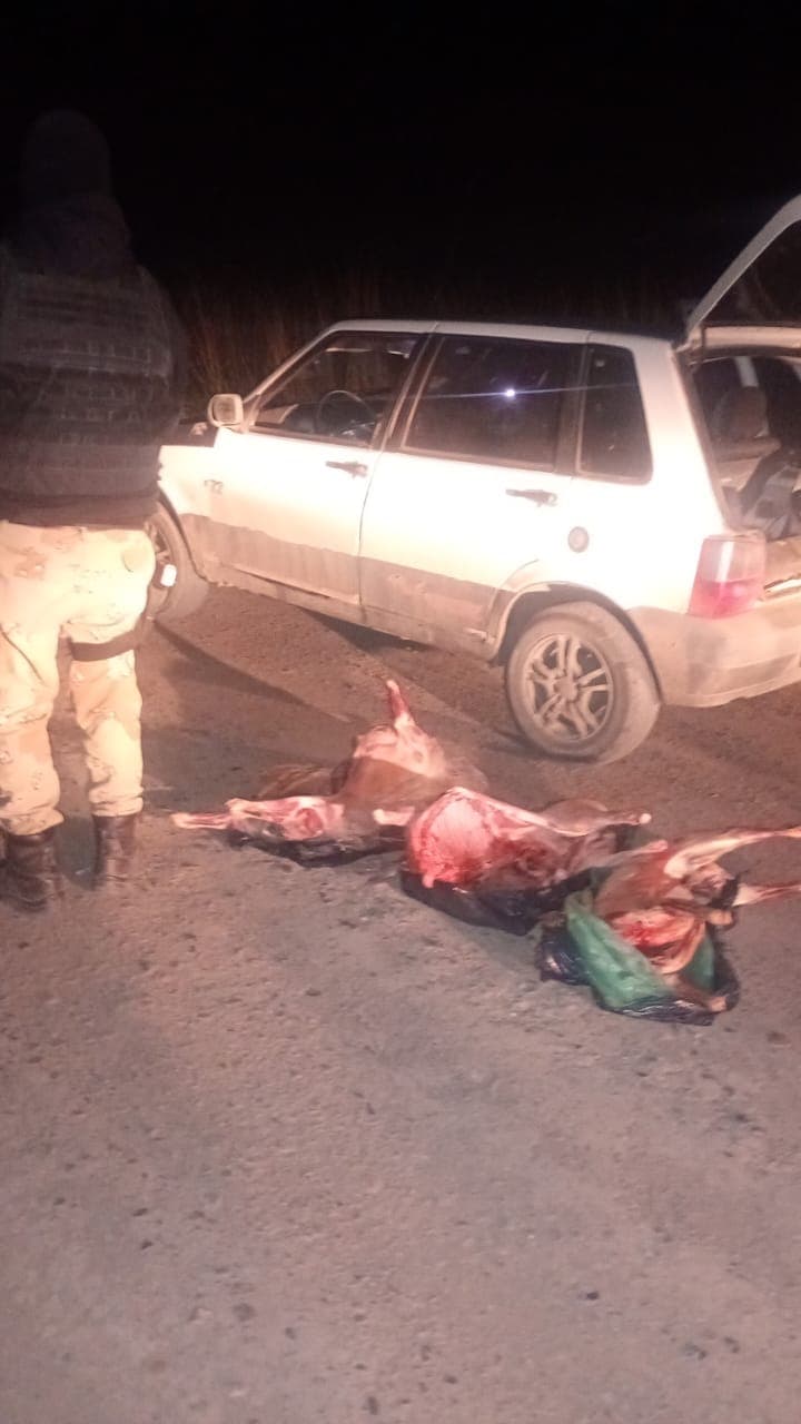 Llevaba tres corderos en el asiento de atrás de su auto que supuestamente los había comprado en San Javier