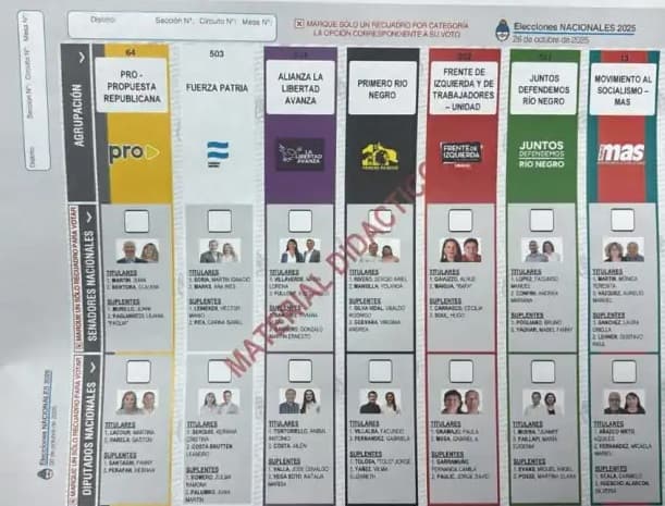 Existe un empate técnico en la elección a Senador en Rio Negro según el consultor Ricardo Vignoni