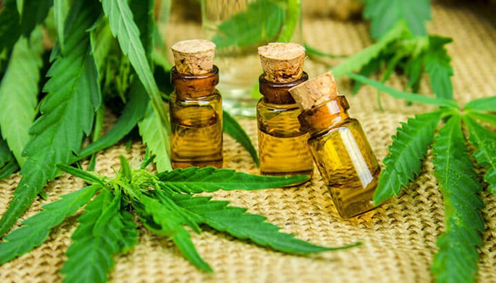 Realizarán la “Iº Jornada de Trabajo entre Productores de Cannabis Medicinal en la UNRN