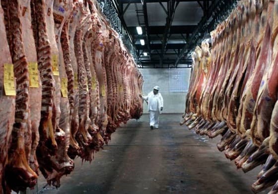 Se podrá comercializar carne de cualquier corte en la Patagonia al ser incorporada la Patagonia Norte a la zona