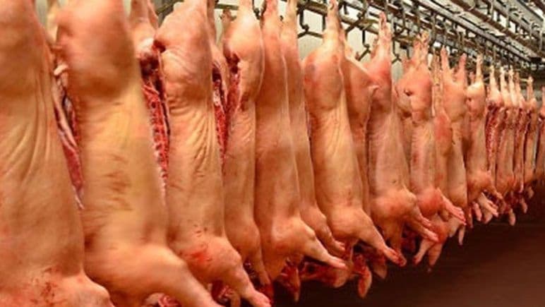 Levantan la barrera sanitaria para el ingreso de carne con hueso a la Patagonia