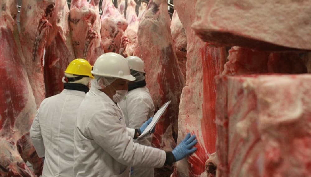 El 75% de la carne vacuna argentina se exportó a China