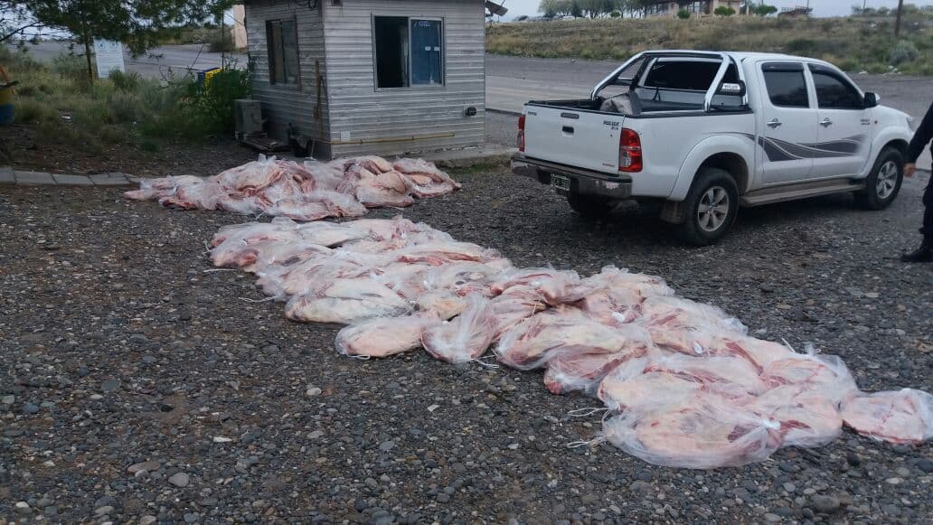 Más de 150 costillares fueron decomisados por la policía en un operativo realizado en Puente Dique