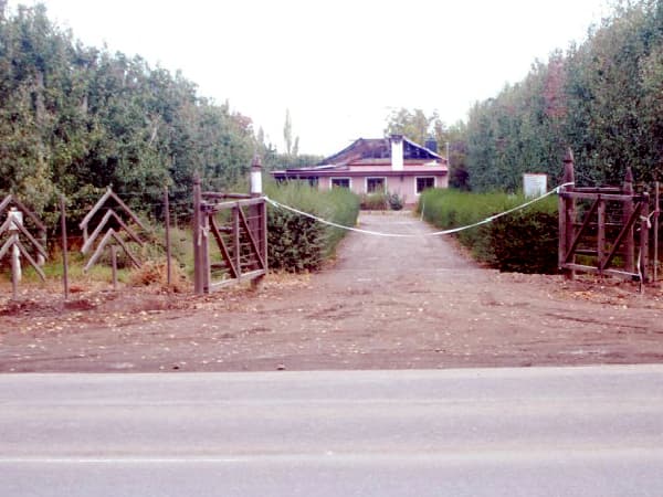 Tres personas detenidas por un homicidio ocurrido el domingo en Cipolletti