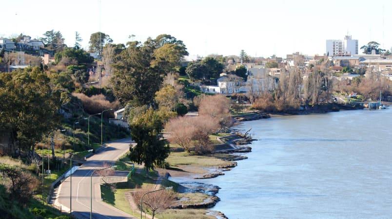 El municipio de Patagones pide que se cuide la limpieza de la costanera y responsabilidad con los animales