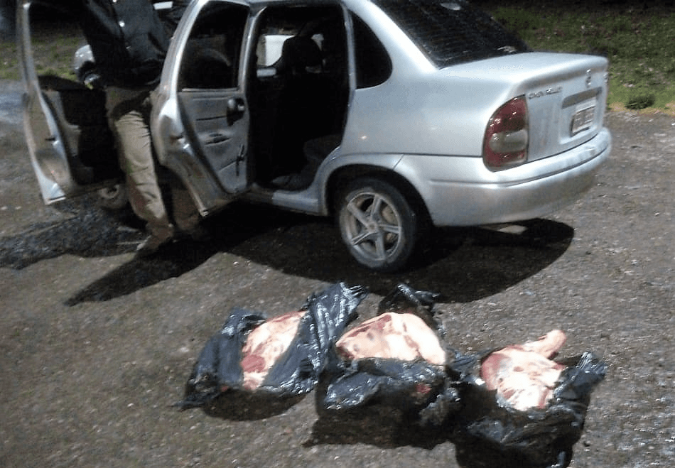 Detienen un auto con cítricos y carne en el control del km 714 de Senasa