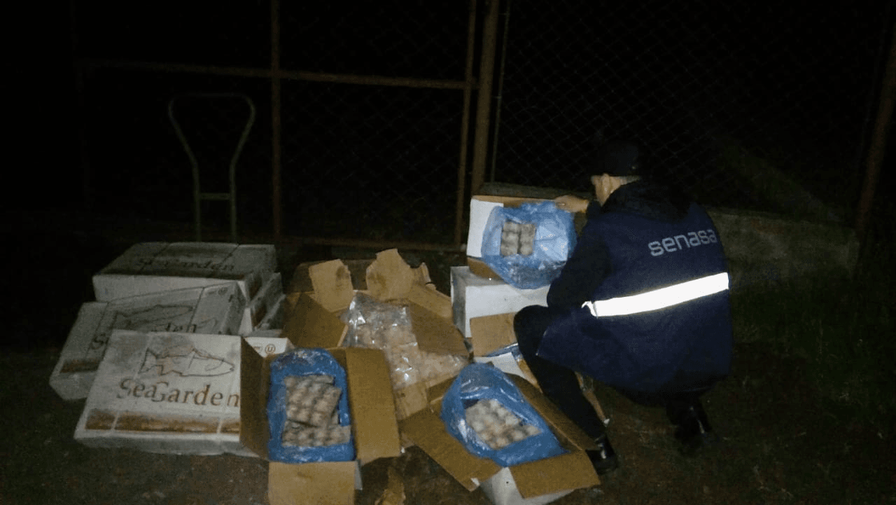Secuestran pescados y mariscos en el kilómetro 714 de la Ruta Nacional N°3