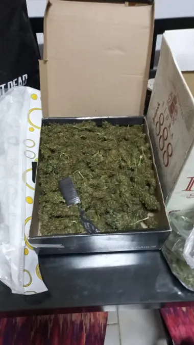 Quedó en libertad la mujer de Patagones acusada de quemar un vivero en Viedma y que estaba detenida por tener marihuana en su casa
