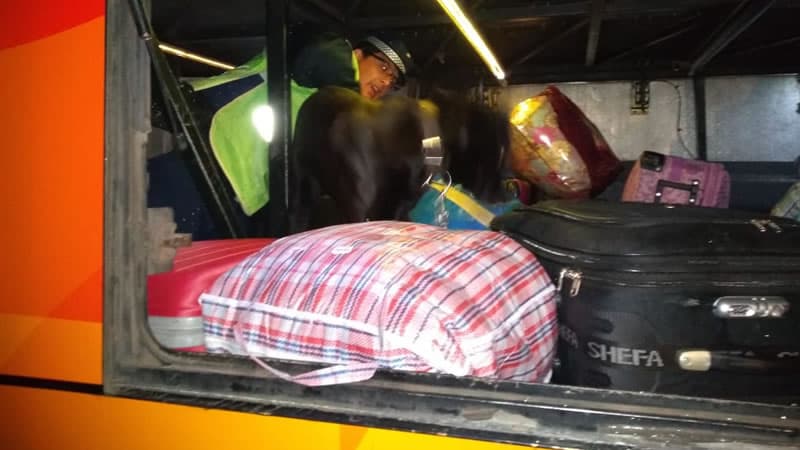 Transporte que le perdió la valija a una jubilada deberá hacerse cargo