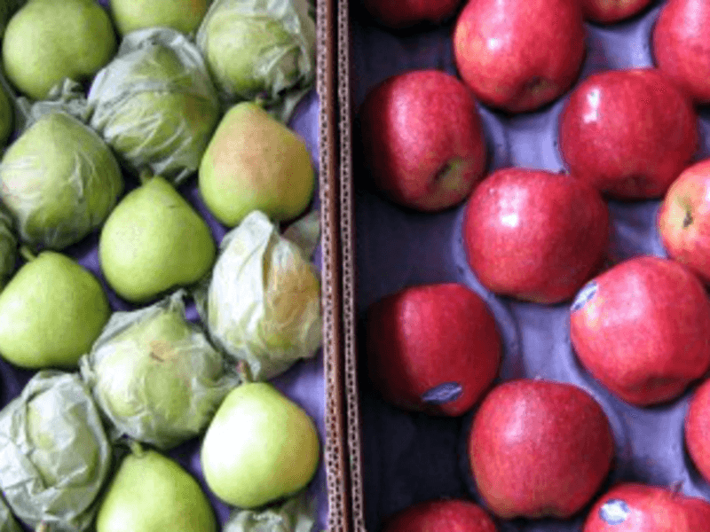 La provincia solicita priorizar el intercambio comercial de frutas dentro del Mercosur