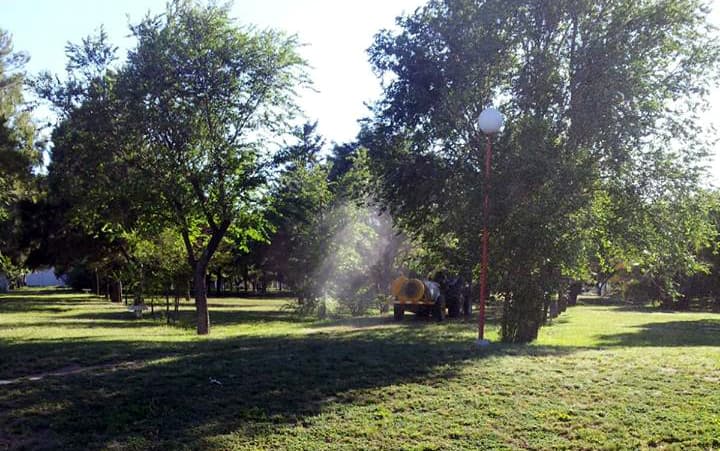 Se fumigará en Patagones desde 19 al 22 en horario nocturno