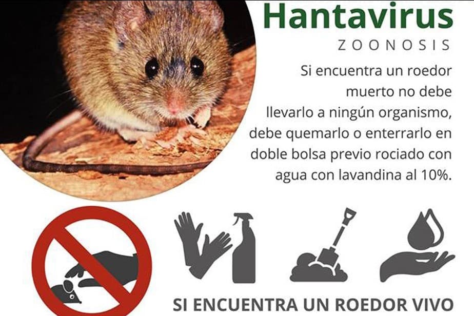 La provincia colabora y asiste a Chubut por casos de Hantavirus