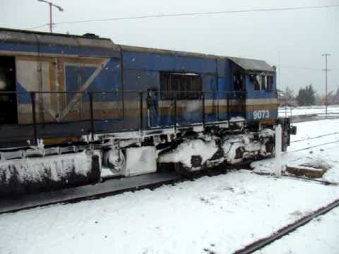 El Tren Patagónico logró llegar a Bariloche pese a la tormenta de nieve