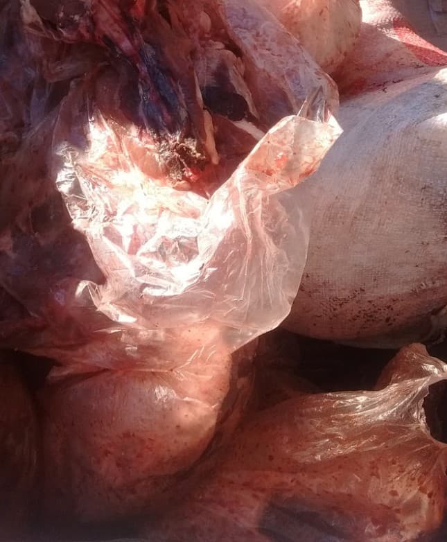 Secuestraron 150 kilos de carne porcina y ovina en un puesto policial caminero de Viedma