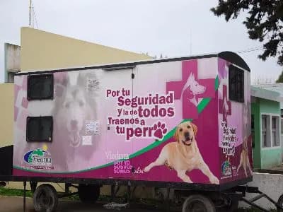 Será indemnizado un veterinario de Viedma que se lesionó el hombro trabajando en el Quirófano Móvil