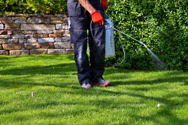 Contrató un fumigador para eliminar roedores y le intoxicaron a la perra
