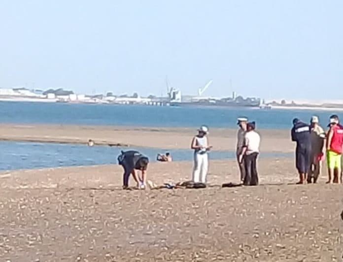 Se ahogó un joven en el muelle de Alpat en San Antonio Oeste