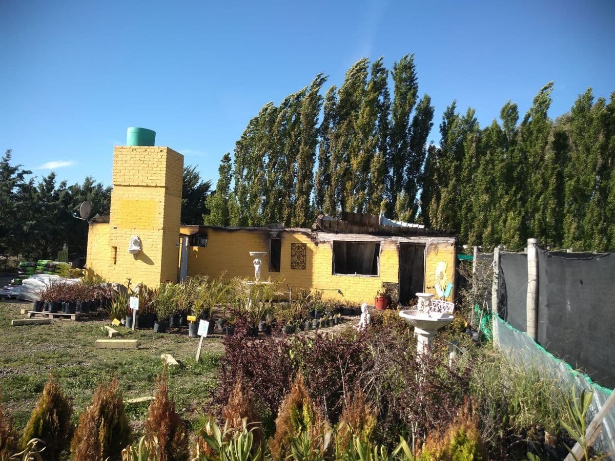 Medidas cautelares para el hombre y la mujer que incendiaron el vivero de la ruta N°1 en octubre