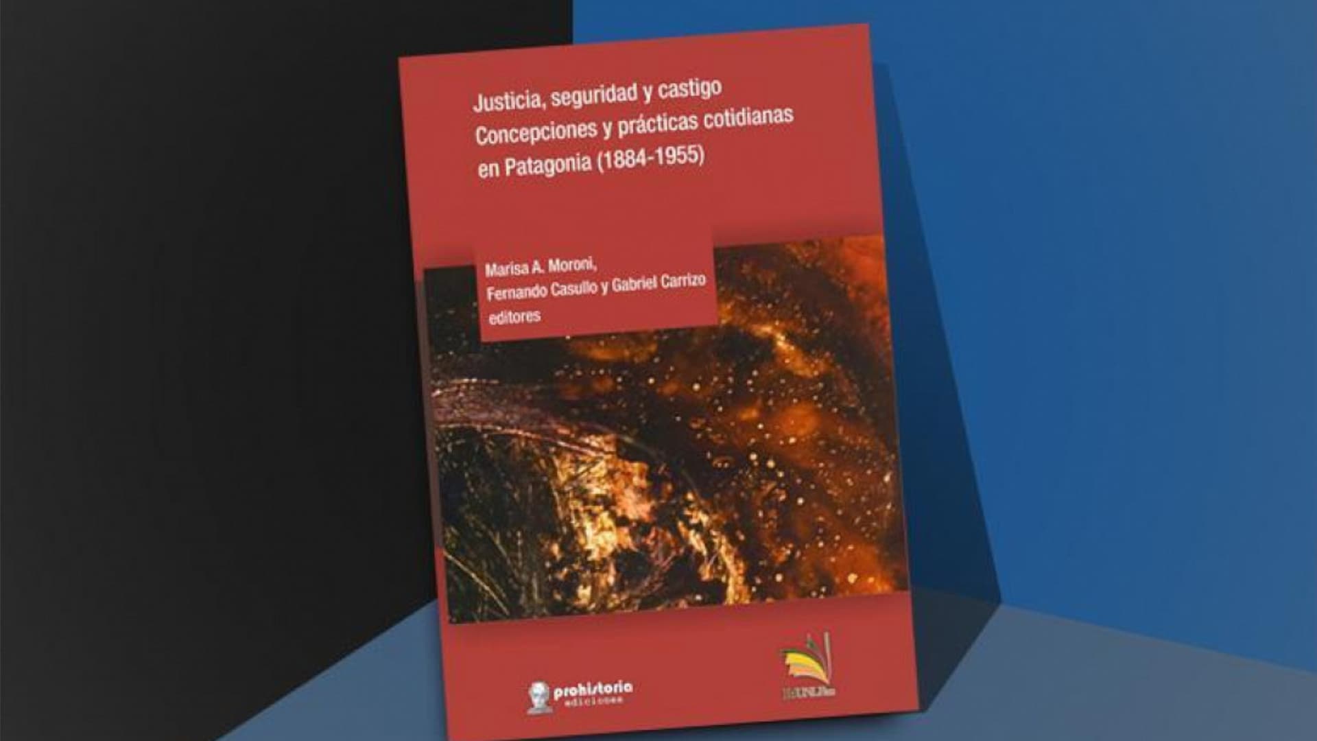 Presentarán este jueves el libro “Justicia, Seguridad y Castigo»