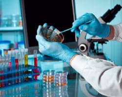 Una bioquímica fue despedida por no hacer una copia de seguridad ahora deberán resarcirla