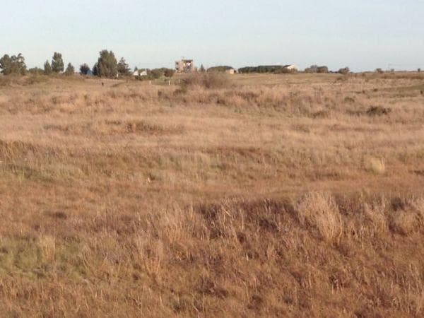 La venta de lotes linderos al club de golf de Patagones no están autorizado por la Municipalidad