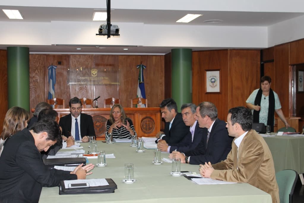 «La decisión del Consejo, justo en la primera reunión de la que formo parte, es de una extrema gravedad»