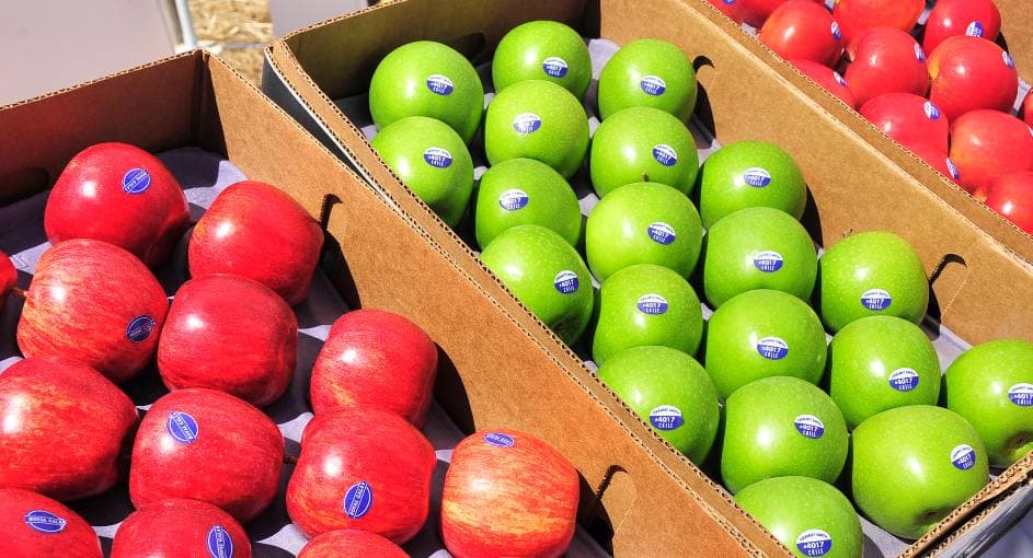 En un incidente vial perdió más de 25 mil kilos de manzanas de exportación y la justicia condenó a la responsable del siniestro