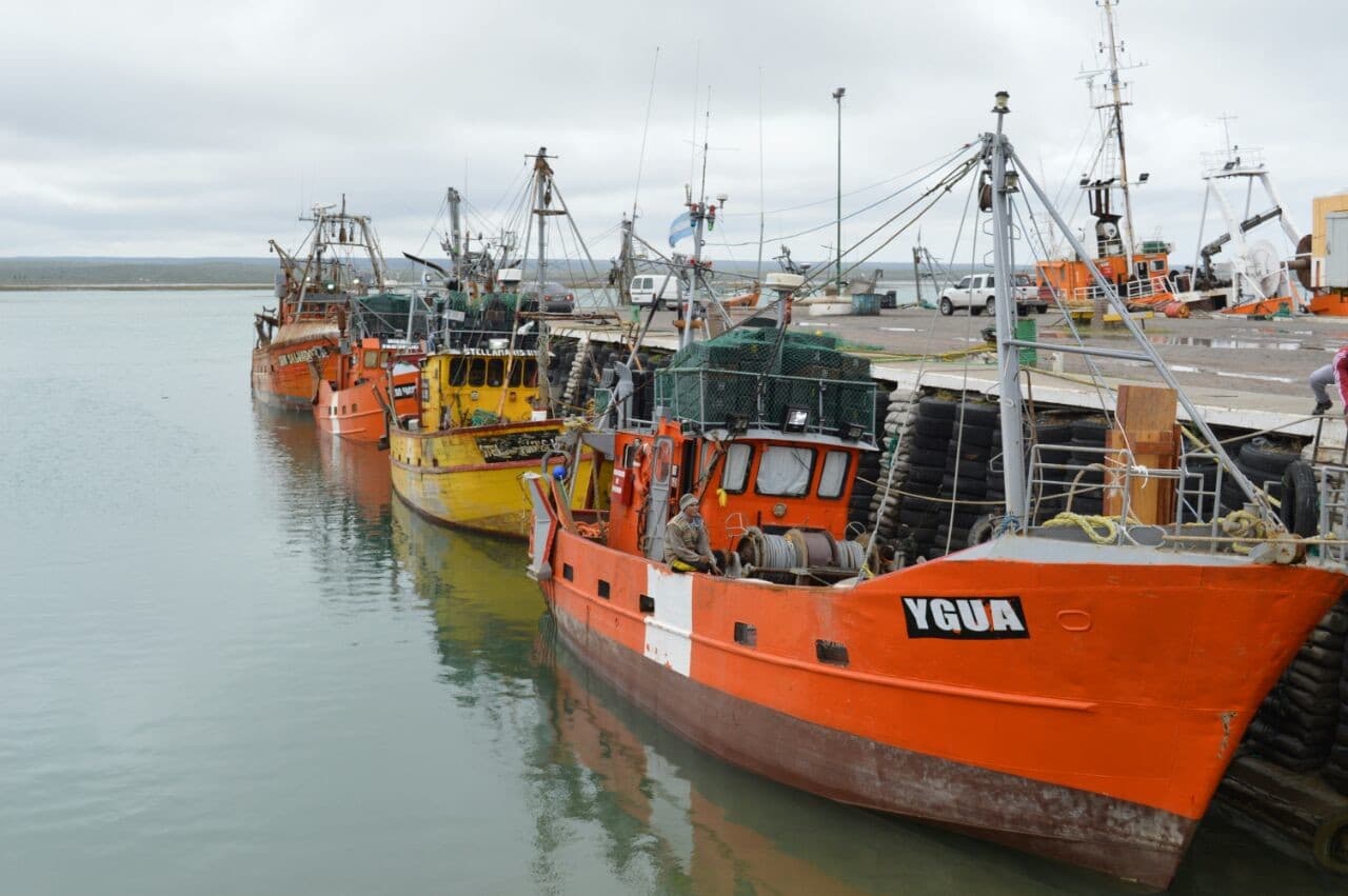 Preocupa a la marinería, la flota que ingresa al puerto sanantoniense y que dan de baja en otras zonas