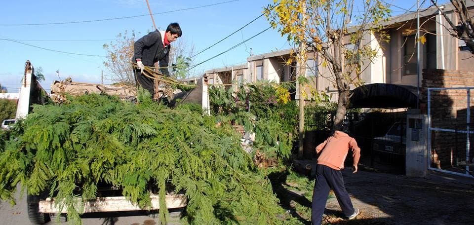 Continúa el operativo de residuos Sólidos Voluminosos en diferentes barrios de Patagones