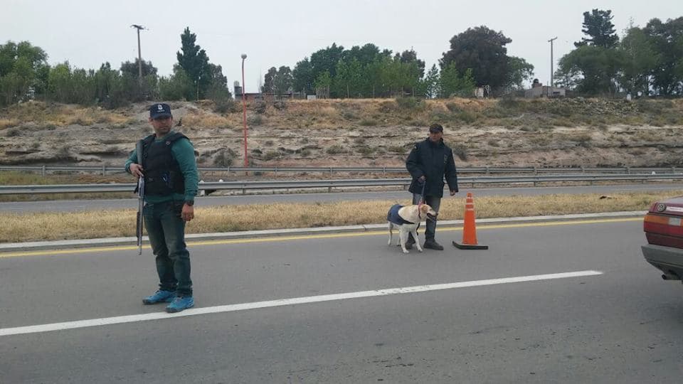 Secuestran dos motos e incauta marihuana en Patagones