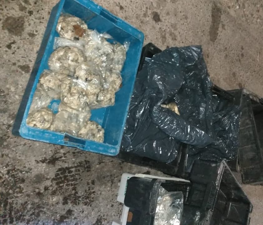 En un control policial se decomisaron bolsas con ostras que eran trasladadas de Viedma a Cipolletti