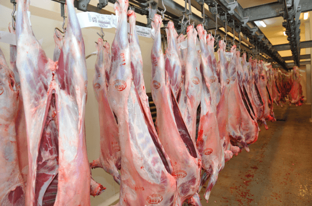 Enviaron desde la Patagonia la primera muestra de carne ovina a Japón