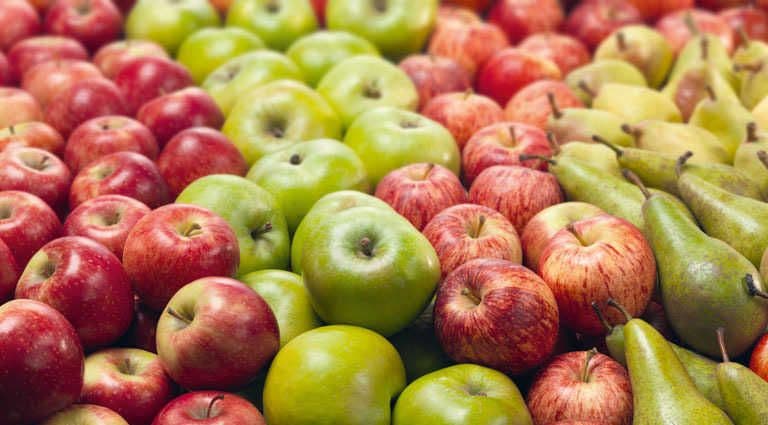 Las manzanas y peras argentinas nuevamente se comercializan con Brasil