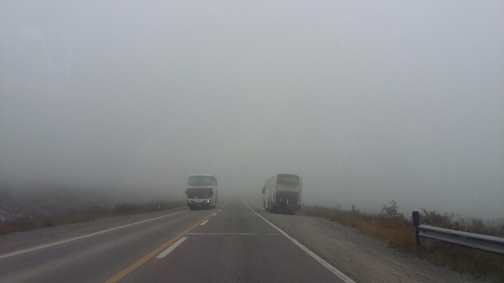 Solicitan precaución a los automovilistas sobre la ruta N°3 entre Pradere y Patagones