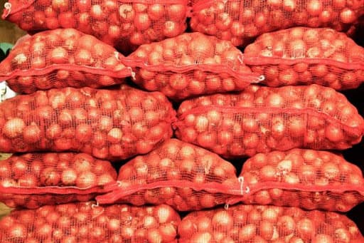 La exportación de cebolla hasta el 30 de junio, es superada solo por los años 2011 y 2013