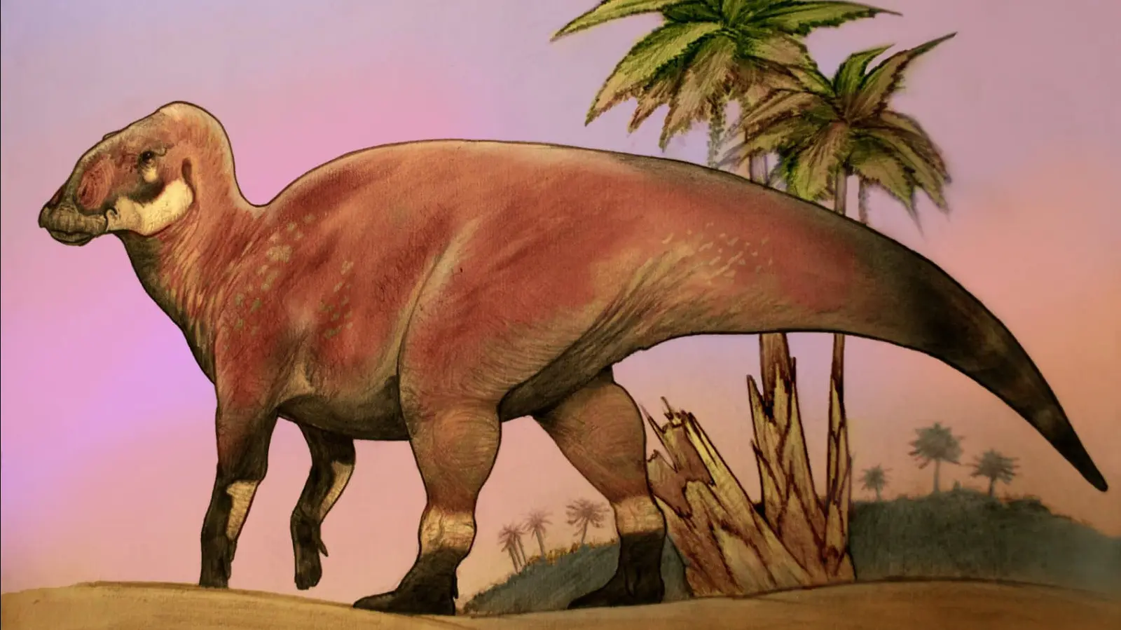 Encuentran en rocas de unos 70 millones de años de antigüedad una nueva especie de dinosaurio