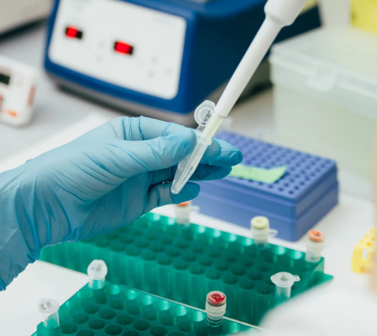 Antes de morir, su madre le reveló un secreto sobre su origen y una prueba de ADN confirmó el relato